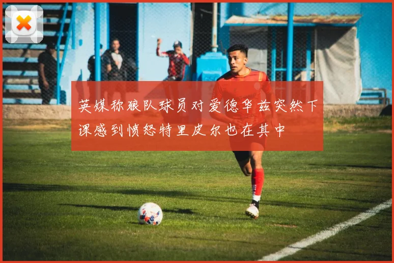 英媒称狼队球员对爱德华兹突然下课感到愤怒特里皮尔也在其中