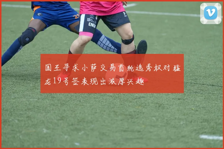 国王寻求小萨交易首轮选秀权对猛龙19号签表现出浓厚兴趣